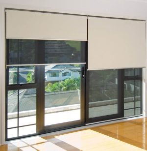 day night roller blinds